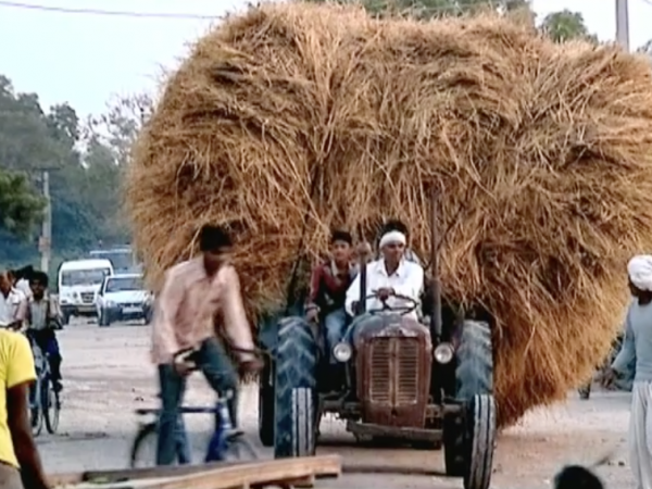 IBM/Bharti Web Content