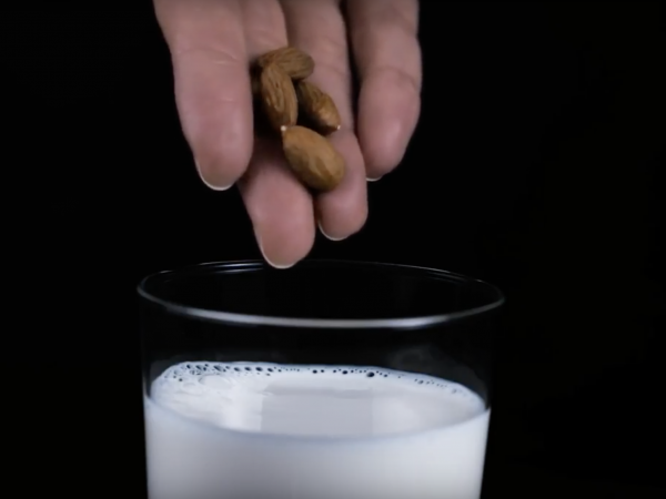 Real Milk vs Almond Milk 360